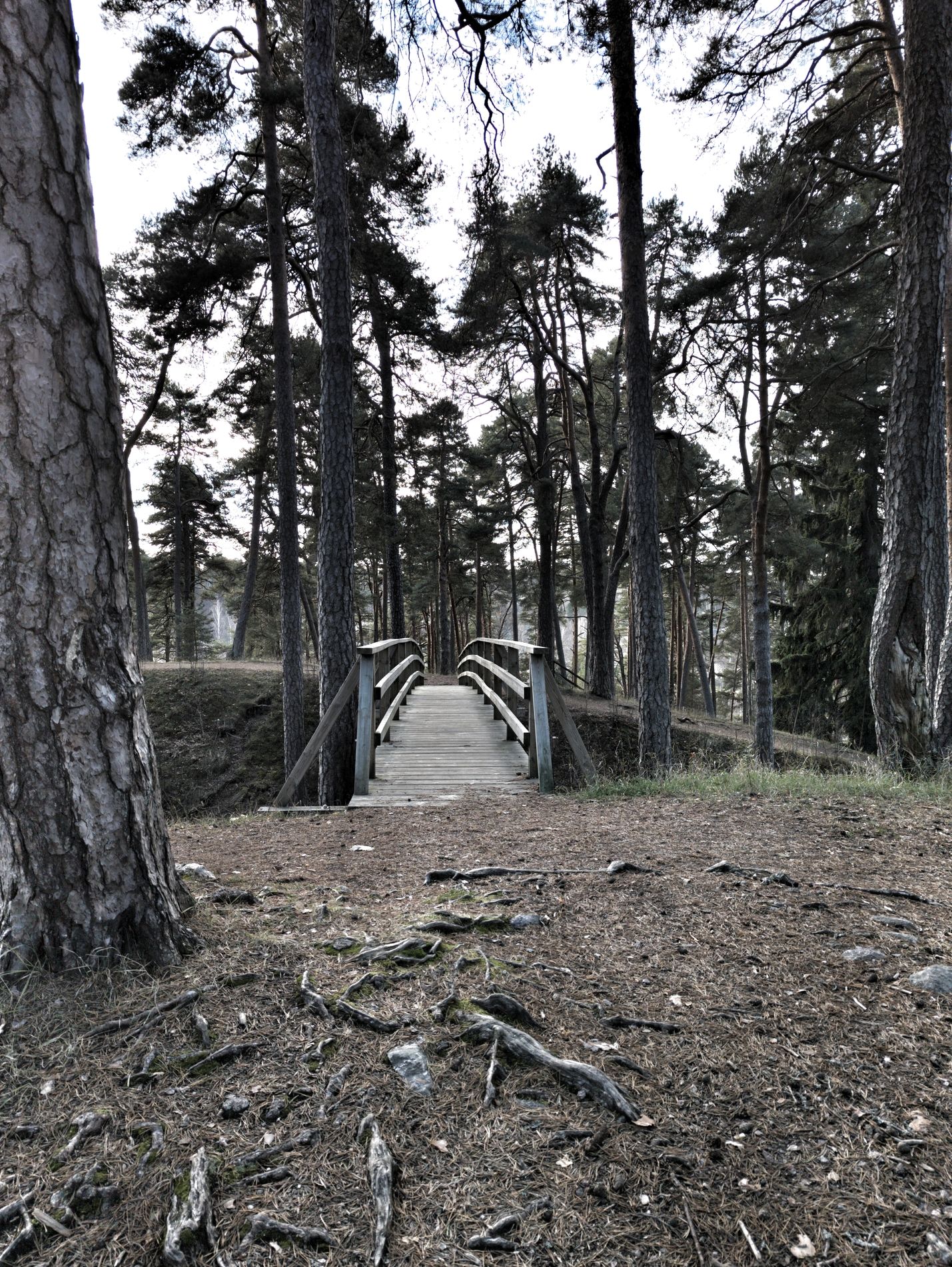 Image in a image block