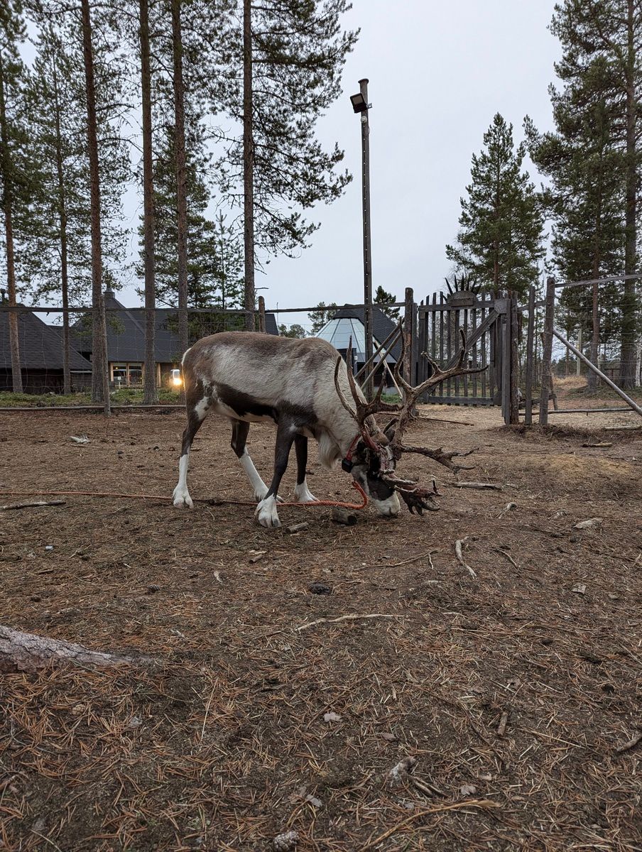 Image in a image block