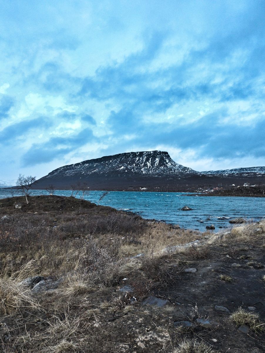 Featured image of the post