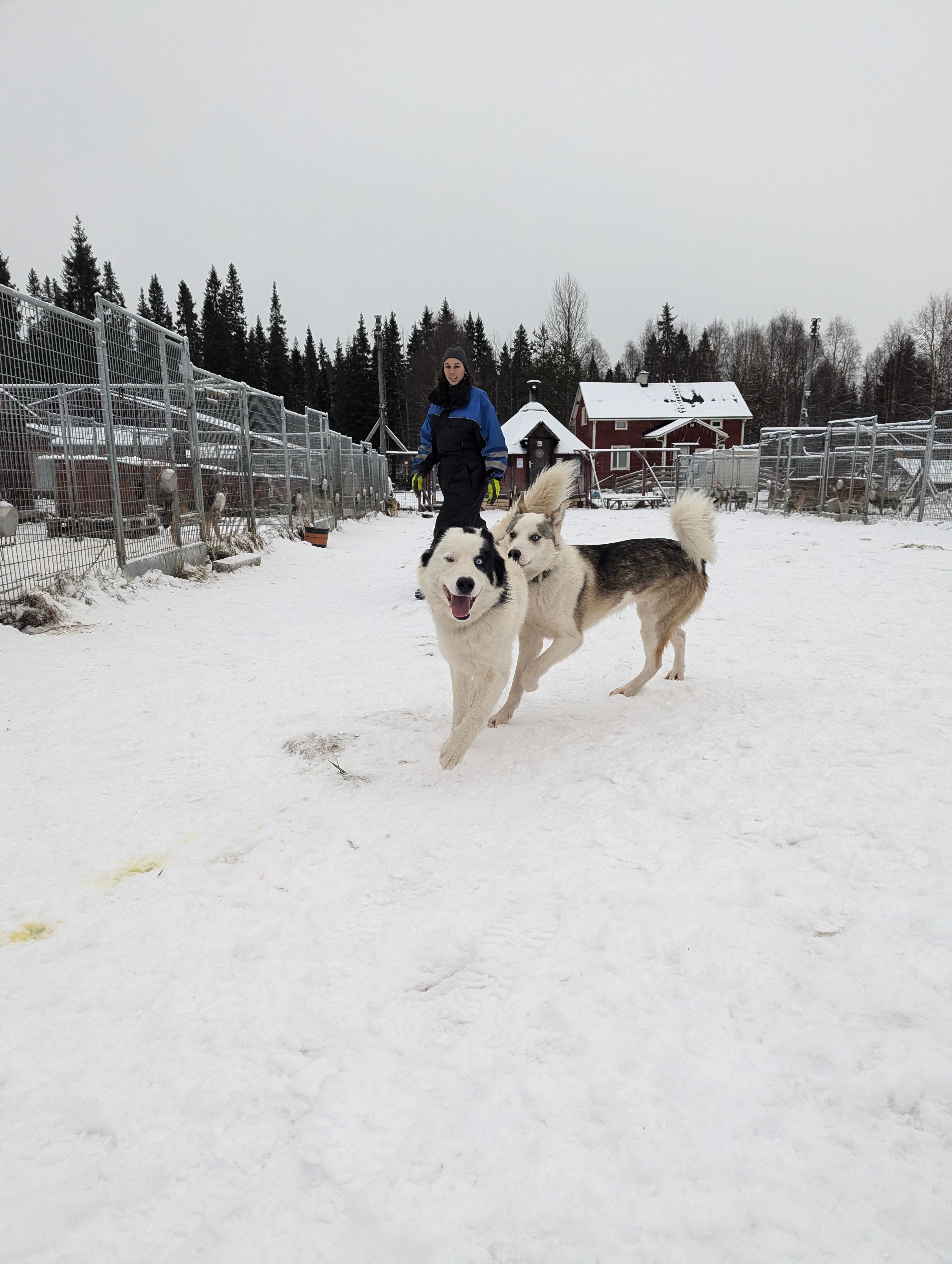 Image in a image block