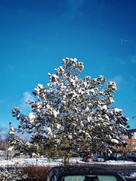 Image in a image block