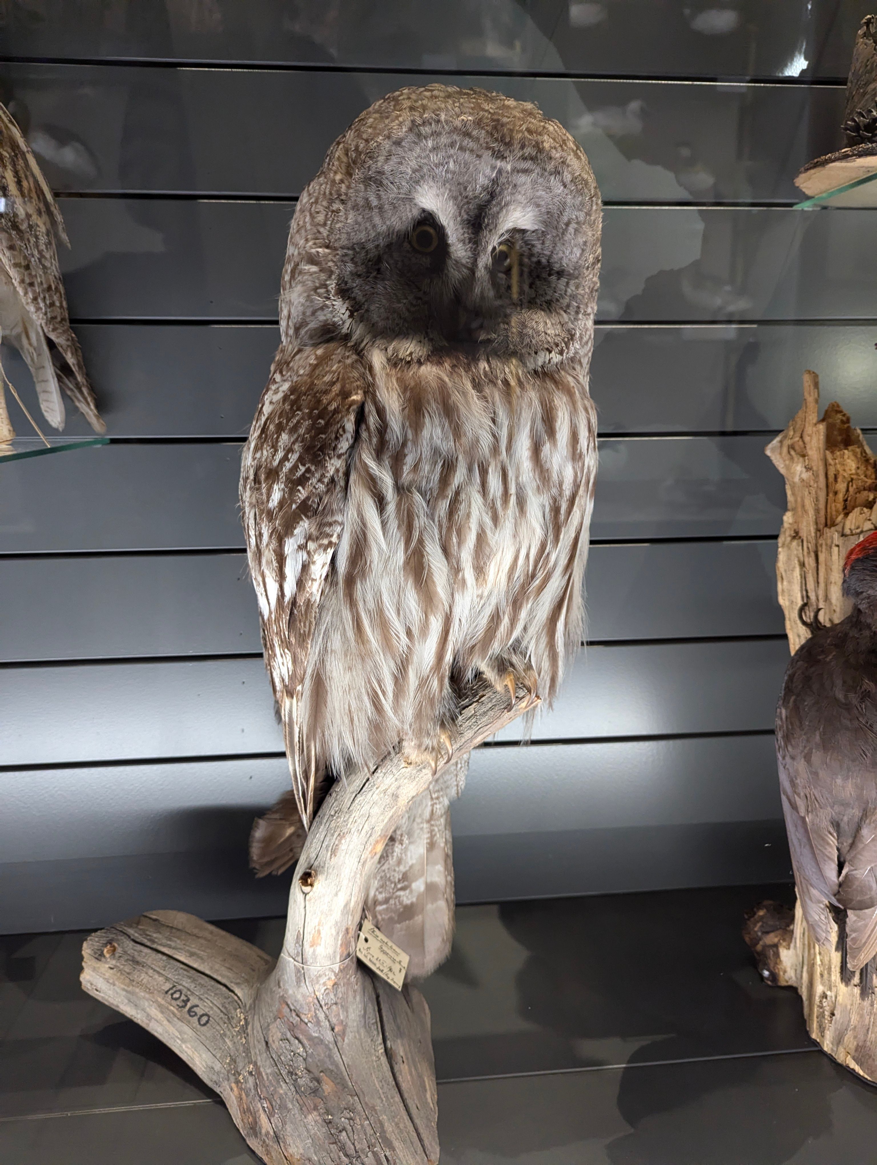 Image in a image block