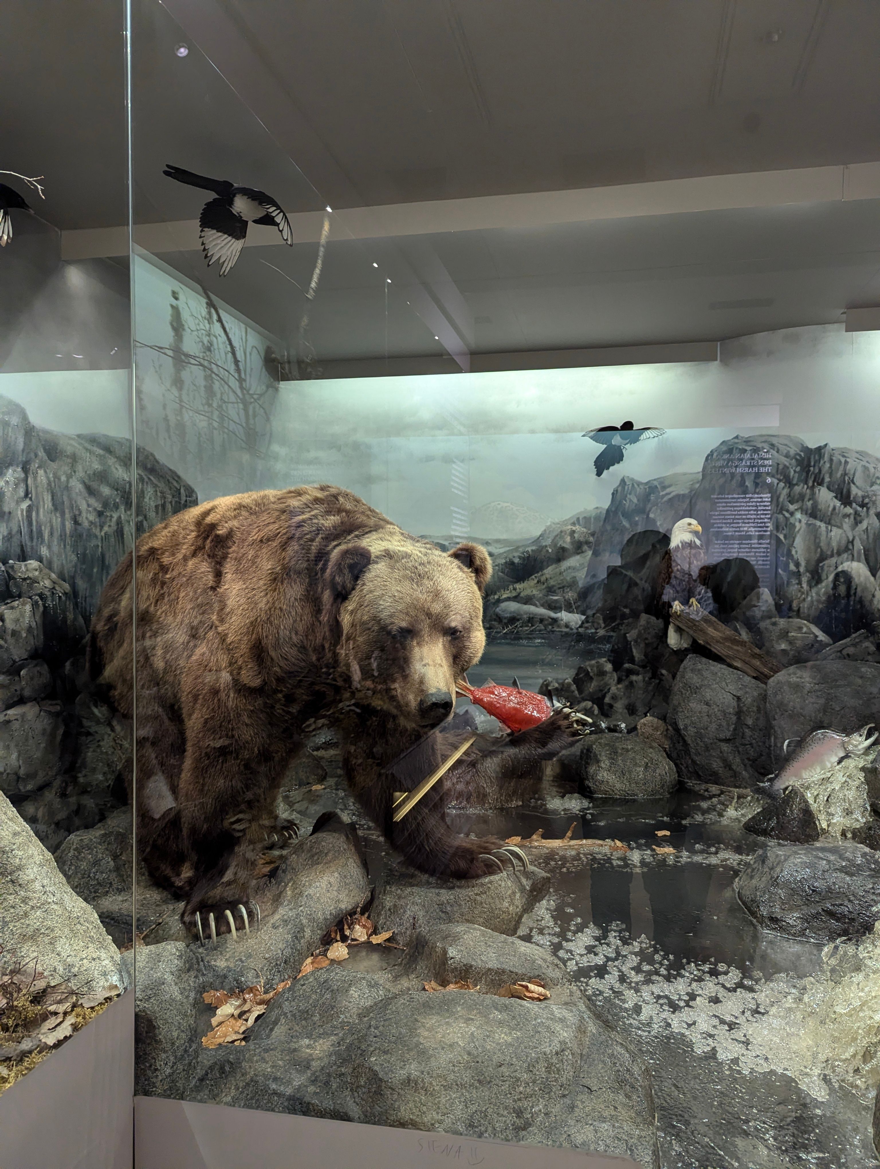 Image in a image block