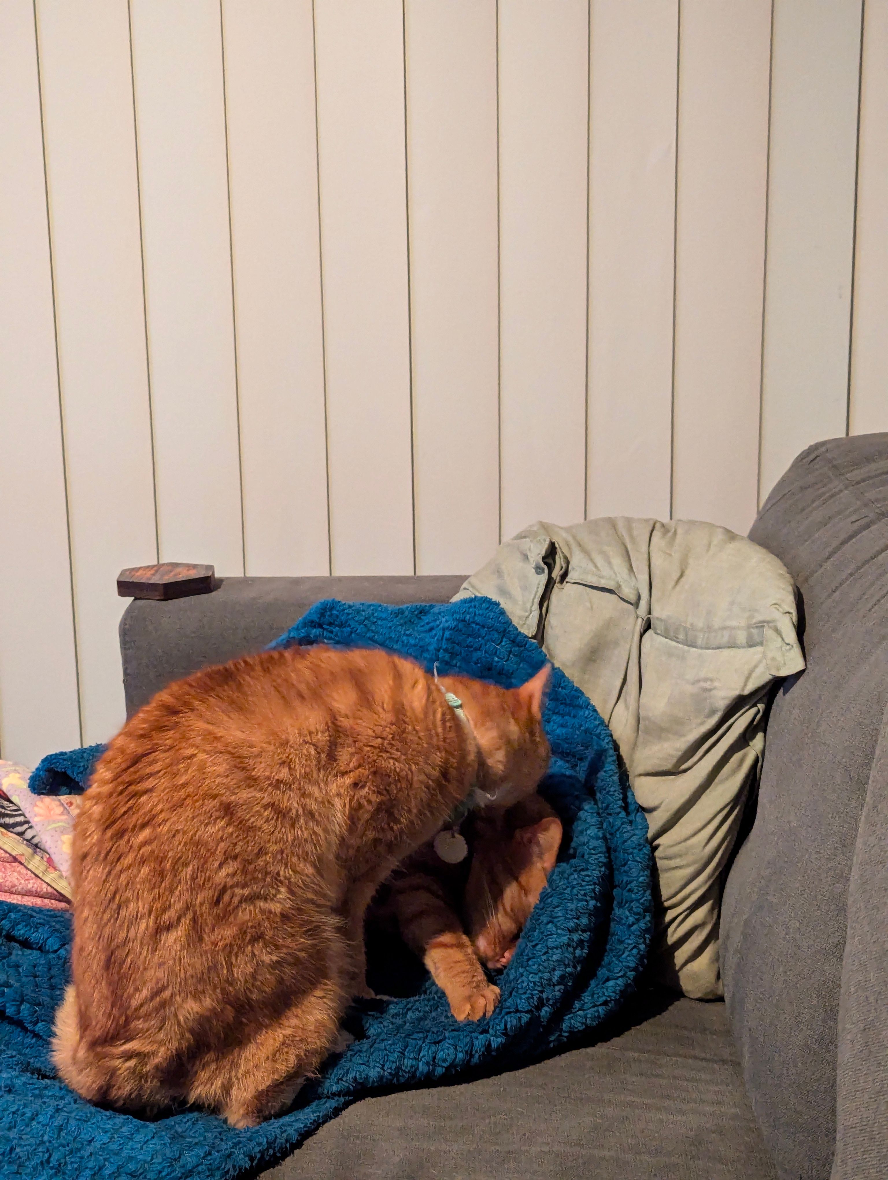 Featured image of the post