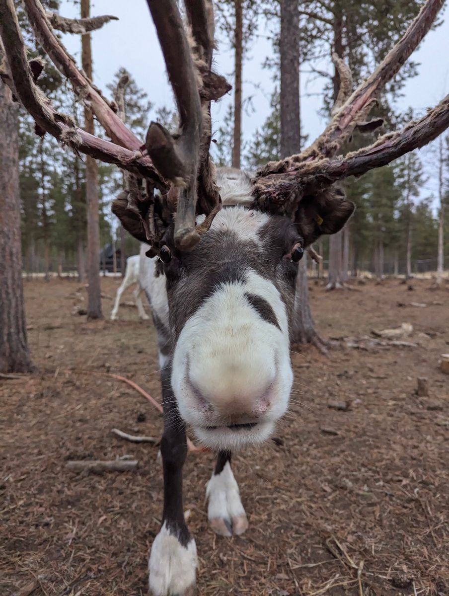 Featured image of the post